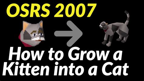 how to grow kitten osrs.